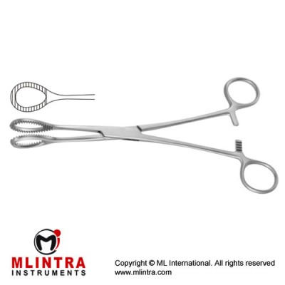 Heywood-Smith Sponge Holding Forcep Straight Stainless Steel, 21 cm - 8 1/4"